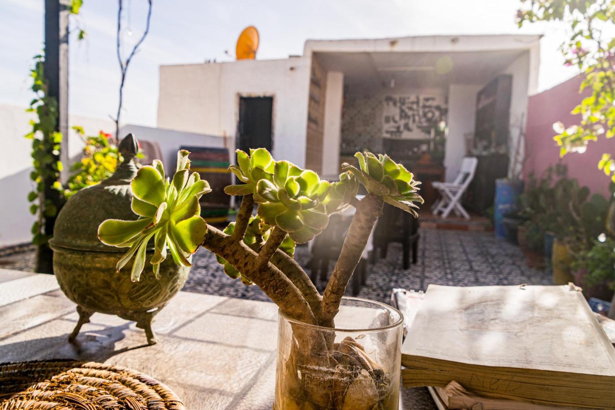Essaouira Youth Hostel & Social Travel Bagian luar foto