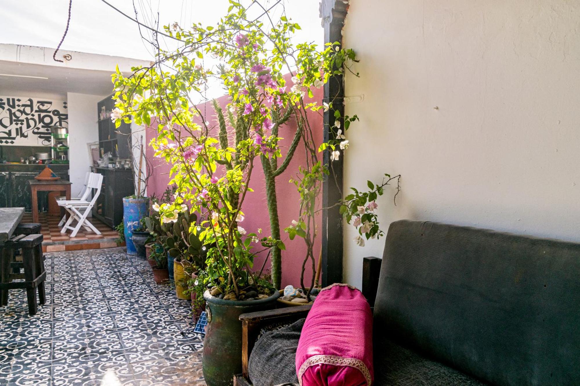 Essaouira Youth Hostel & Social Travel Bagian luar foto